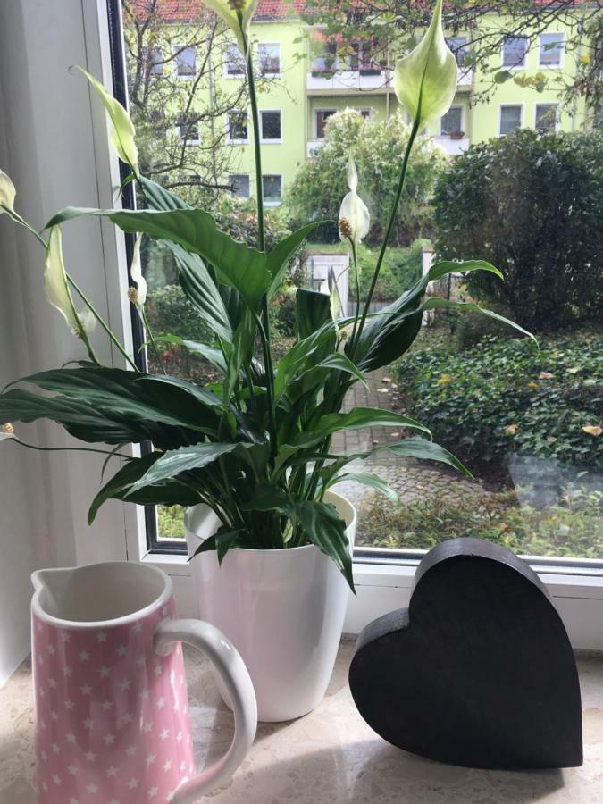 Gemuetliche Ferienwohnung Im Erdgeschoss- Jenaer Strasse إرفورت المظهر الخارجي الصورة